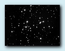 M 41.jpg